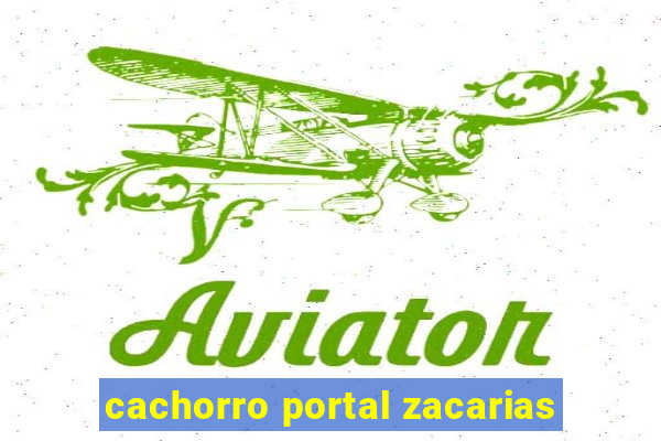 cachorro portal zacarias